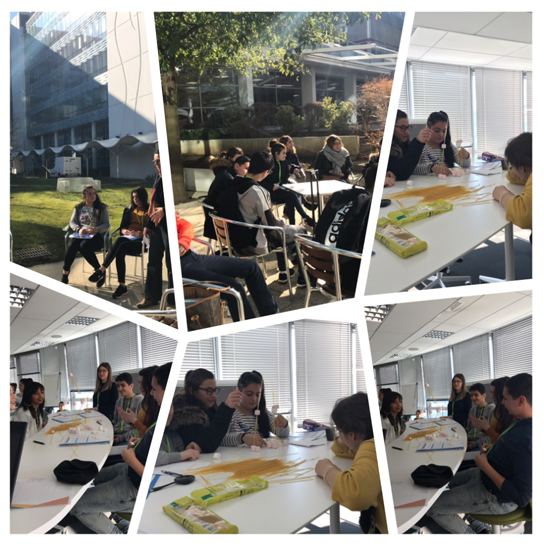stages collectifs